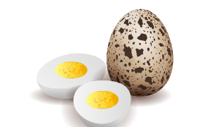 Křepelčích vajec